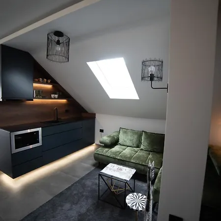 Elephant * Нови-Сад