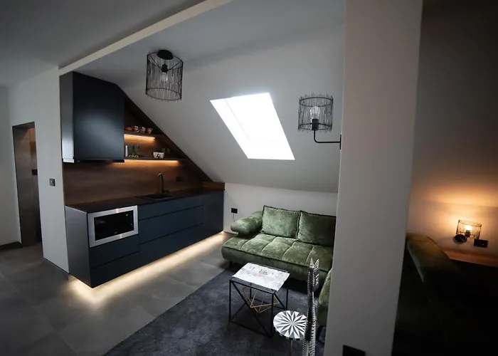 Elephant * Нови-Сад