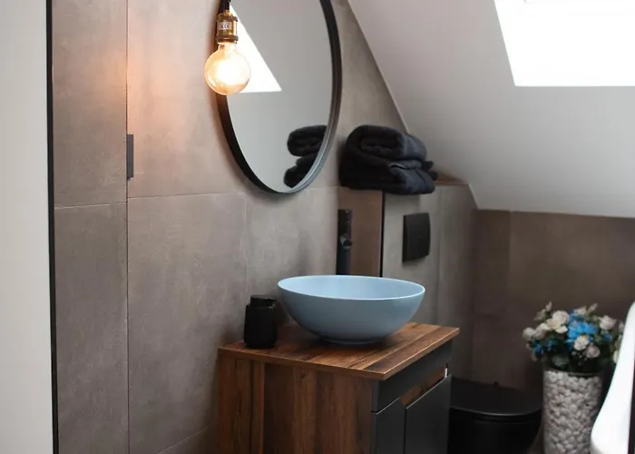 Elephant Нови-Сад